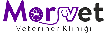 bivet